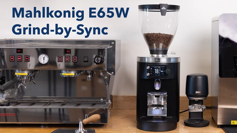 Mahlkonig E65S GbW | Prima Coffee