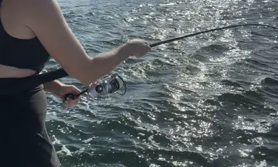 Jacksonville Report Video 2