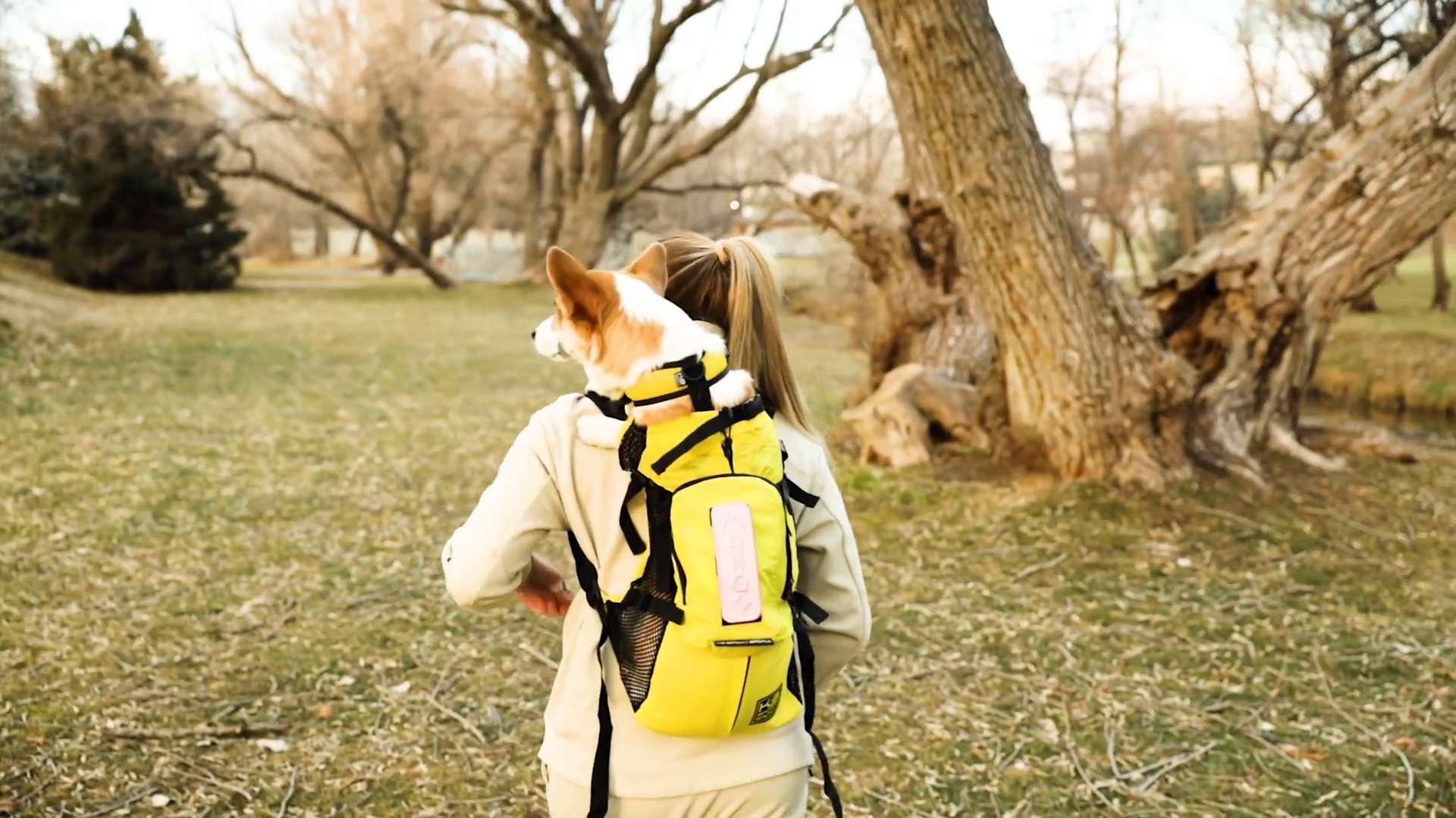 K9 SPORT SACK Walk-On Packable Backpack Dog Carrier, Grey, Large
