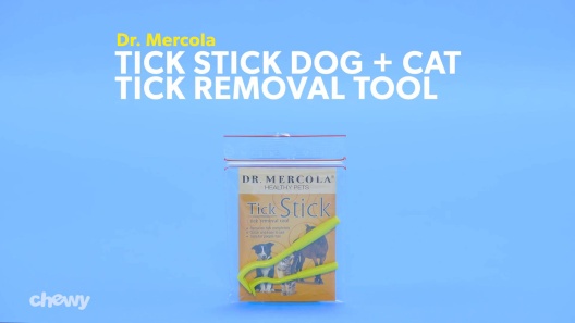 Play Video: Learn More About Dr. Mercola From Our Team of Experts