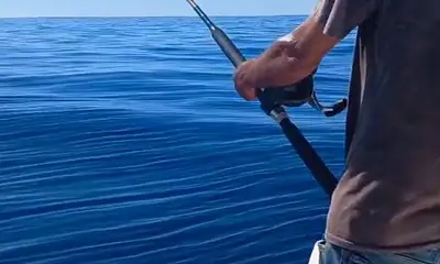 San Jose del Cabo Report Video 1