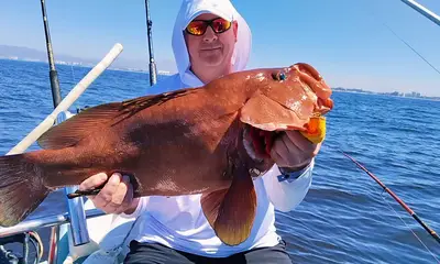 Puerto Vallarta Report Video 1