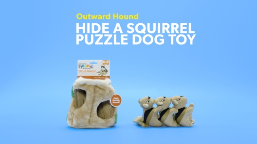 Outward Hound Hide A Squirrel Puzzle Dog Toy - Durham, NC - Barnes Supply Co