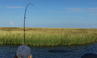 New Orleans Bericht Video 0
