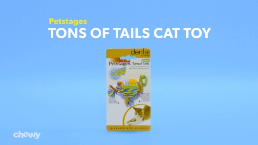 Play Video: Learn More About Catstages From Our Team of Experts