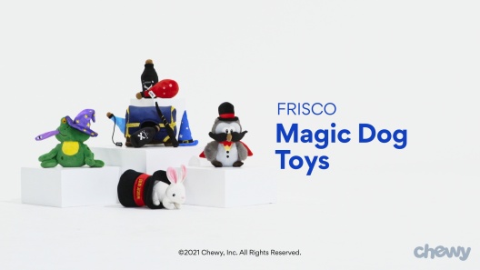 Play Video: Learn More About Frisco From Our Team of Experts