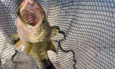 Interlachen Video Report 0