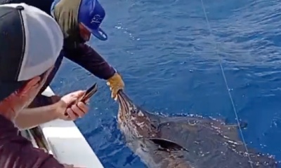 San Jose del Cabo Report Video 0