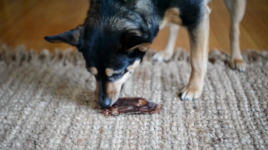 Best Pet Supplies GigaBite All-Natural Adult 6-inch Beef Gullet Jerky, Free-Range Beef Esophagus Sticks Jerky Dog Treats