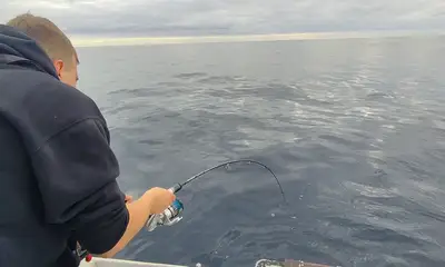 Funchal Report Video 1