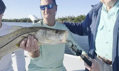 December Snook Madness — Boca Grande Is 