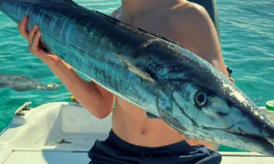 Playa Del Carmen Report Video 0