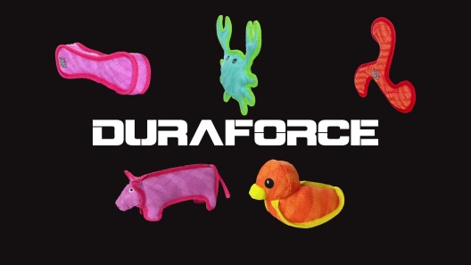Play Video: Learn More About DuraForce From Our Team of Experts