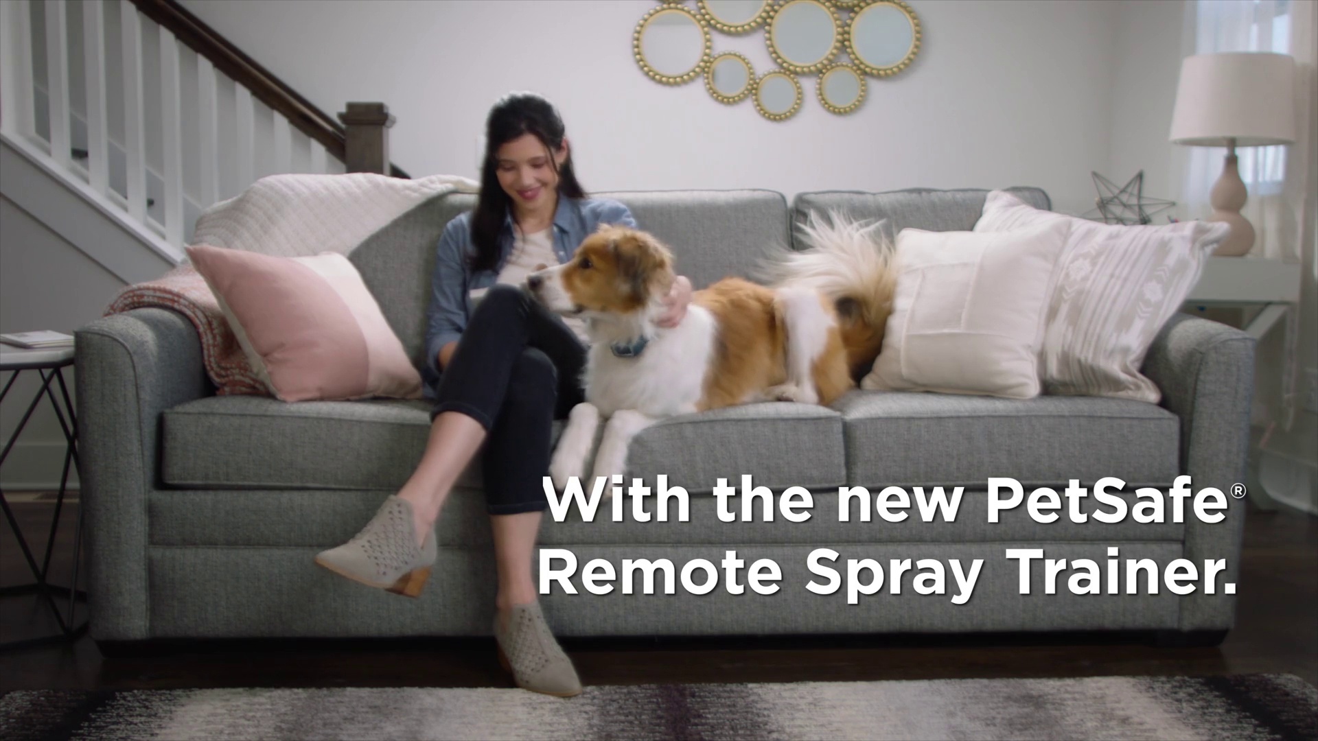 Petsafe remote outlet spray collar