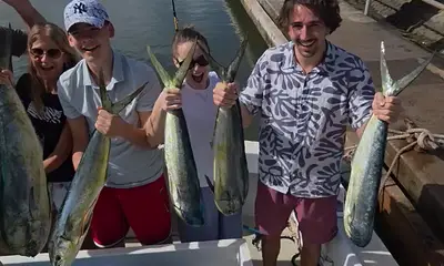 Haleiwa Report Video 0