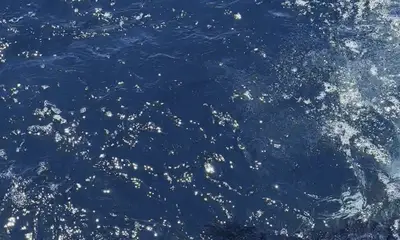 Tavira Видео отчет 4