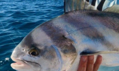 Cabo San Lucas Report Video 0