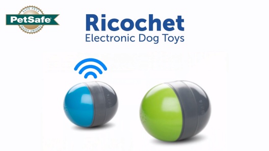 PetSafe Ricochet Electronic Dog Toy