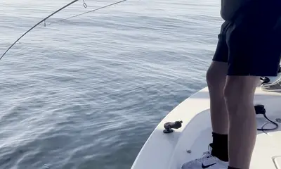 Theriot Verslag Video 0