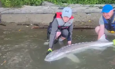 Wow what a fish