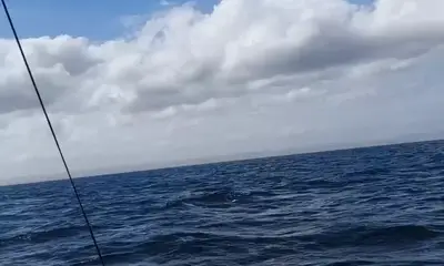 La Paz Report Video 0