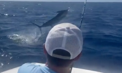 West Bay Report Video 1