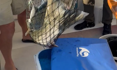 Great fishing!