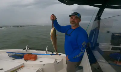 Rapport vidéo Galveston 2