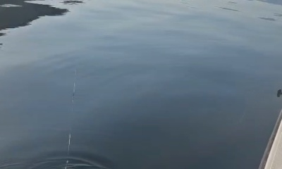 July fishing trip
