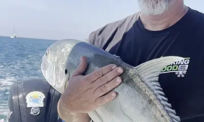 La Cruz De Huanacaxtle Report Video 4