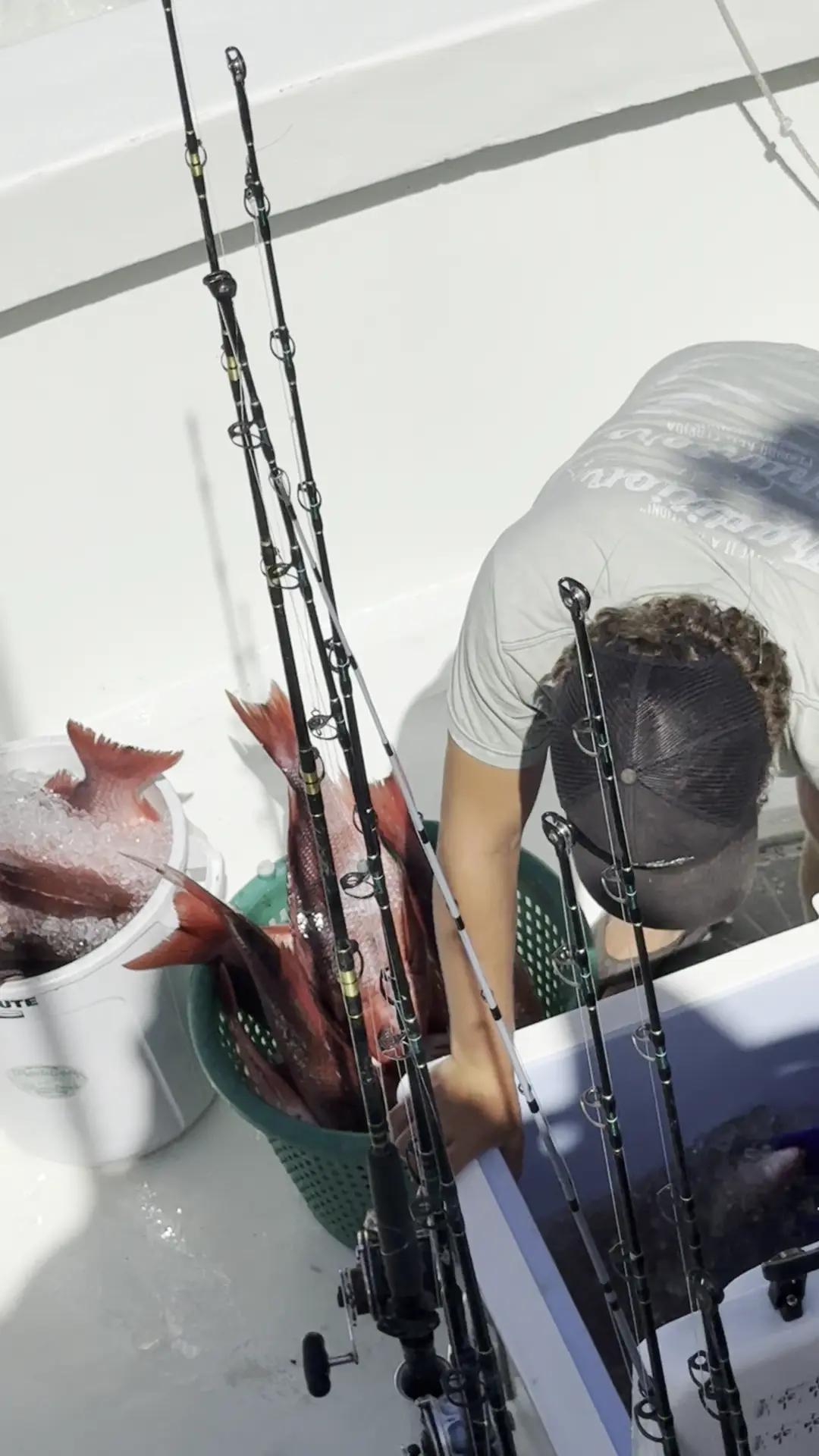 Business Card: Tradition Fishing Charters