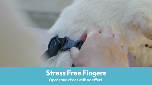 Gooby Comfort X Step In Lite Dog Harness