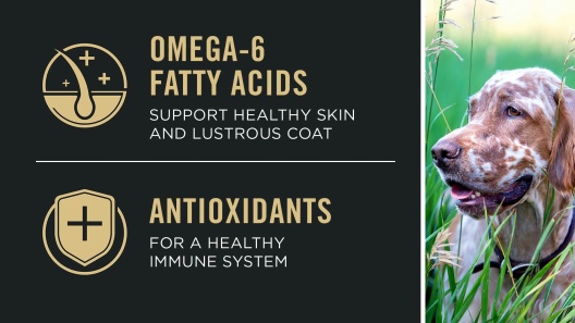 Purina Pro Plan Small Breed Adult Sensitive Skin & Stomach Formula Dry Dog Food