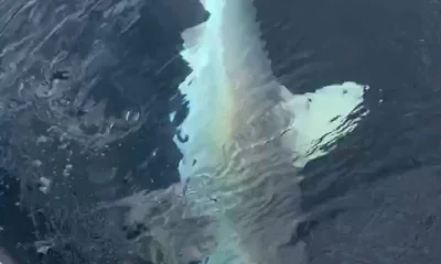 Fort Lauderdale Report Video 0