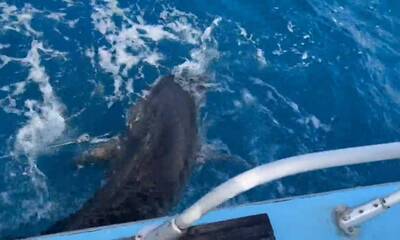 Cape Verde Report Video 0