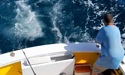 Wanchese Report Video 0