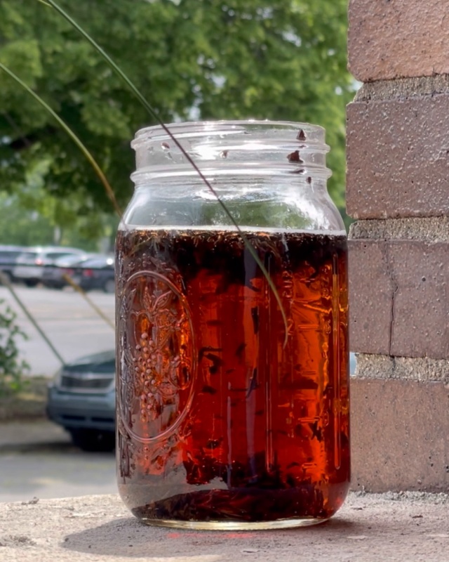 Sun Tea – Writing at Seventy