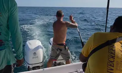 Great experience and will definitely use again