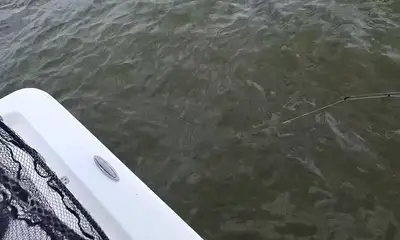 Lake Pontchartrain Report Video 2