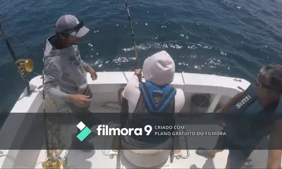 Faro Report Video 0