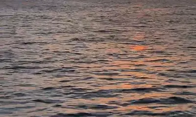 Dana Point Report Video 0