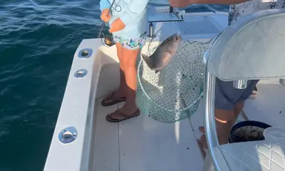 Caught our limit! Kids had a blast!