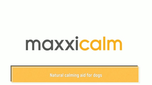 Play Video: Learn More About maxxipaws From Our Team of Experts