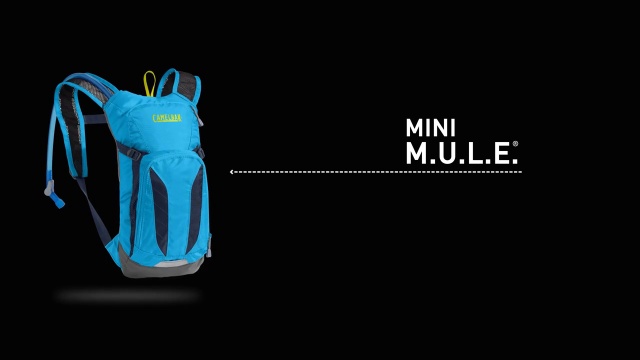 CamelBak Mini M.U.L.E. Kids Hydration Pack Baton Rouge Flames