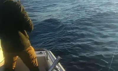 San Jose del Cabo Report Video 0