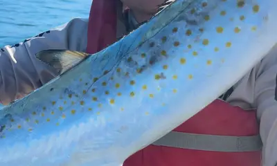 Great Experience.  Just plan your logistics.