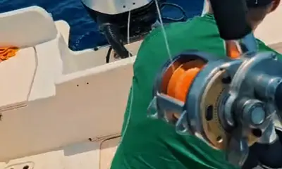 Herradura Verslag Video 0