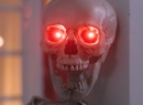 Laughing Poseable Skeleton