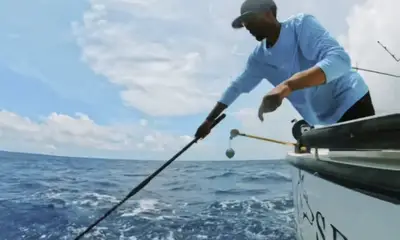 Rapport vidéo Bermuda 1