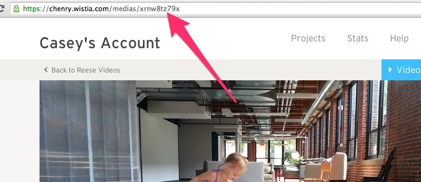 download wistia embedded video download wistia embedded video